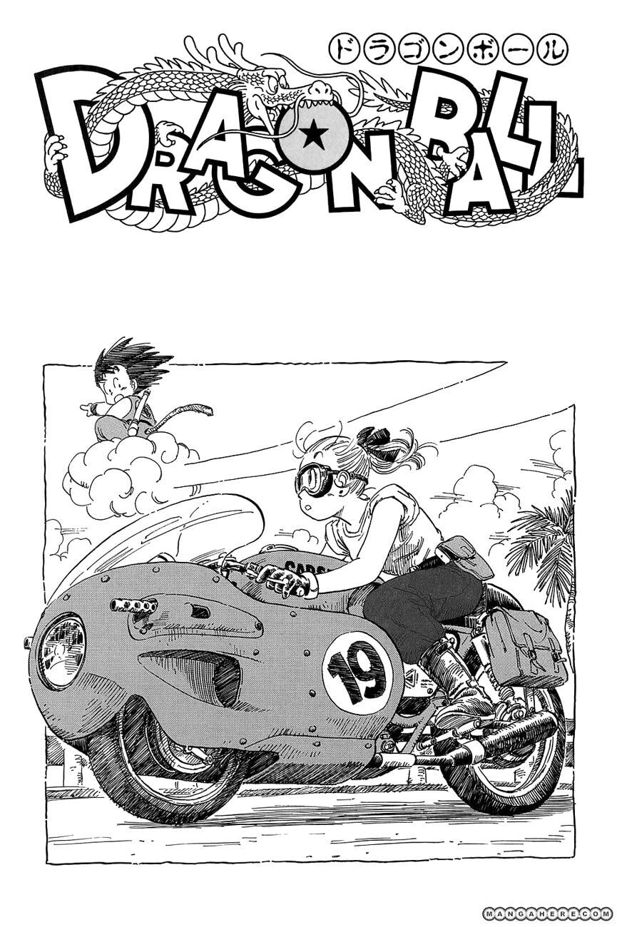 Read Dragon Ball chapter 74.5 image 11 on Lezhin