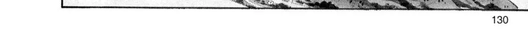 Read Dragon Ball chapter 81 image 15 on Lezhin