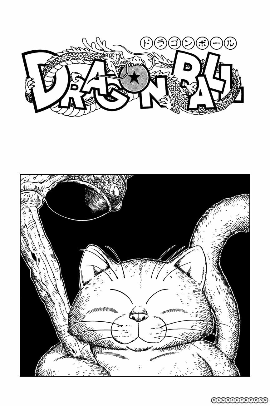 Read Dragon Ball chapter 89.5 image 11 on Lezhin