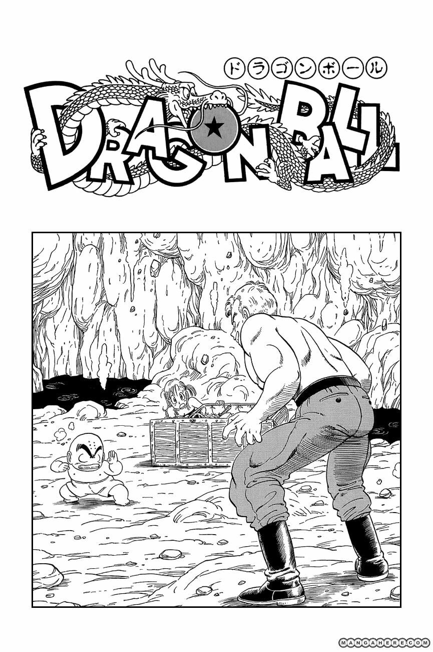 Read Dragon Ball chapter 89.5 image 2 on Lezhin