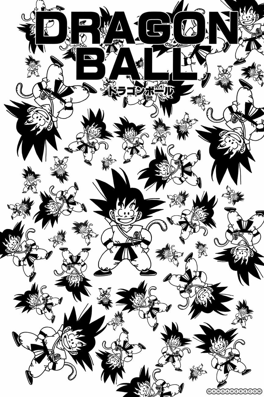 Read Dragon Ball chapter 89.5 image 3 on Lezhin