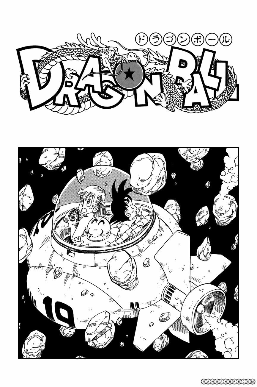 Read Dragon Ball chapter 89.5 image 4 on Lezhin