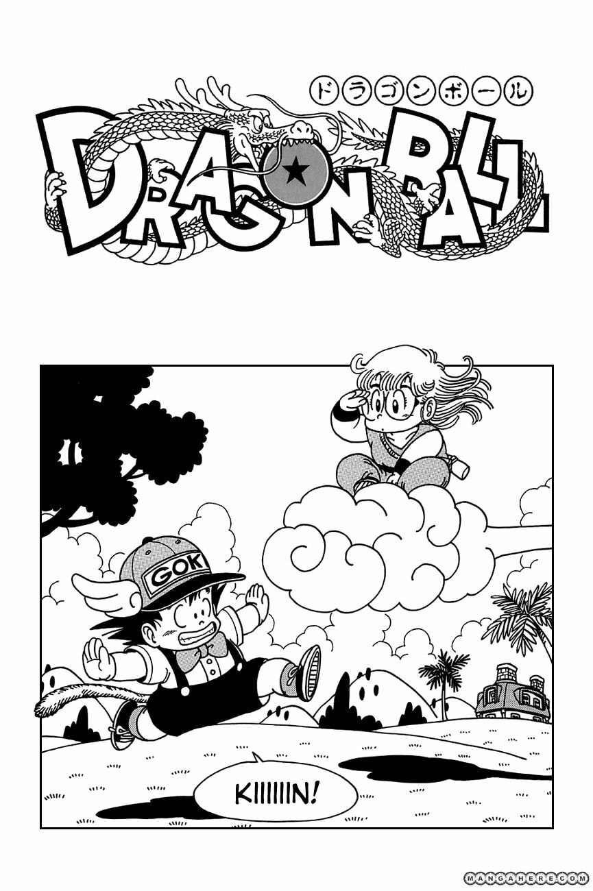 Read Dragon Ball chapter 89.5 image 6 on Lezhin
