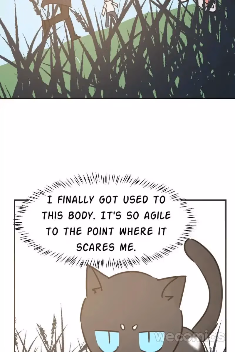 Read Dragon In Distress chapter 25 image 36 on Lezhin