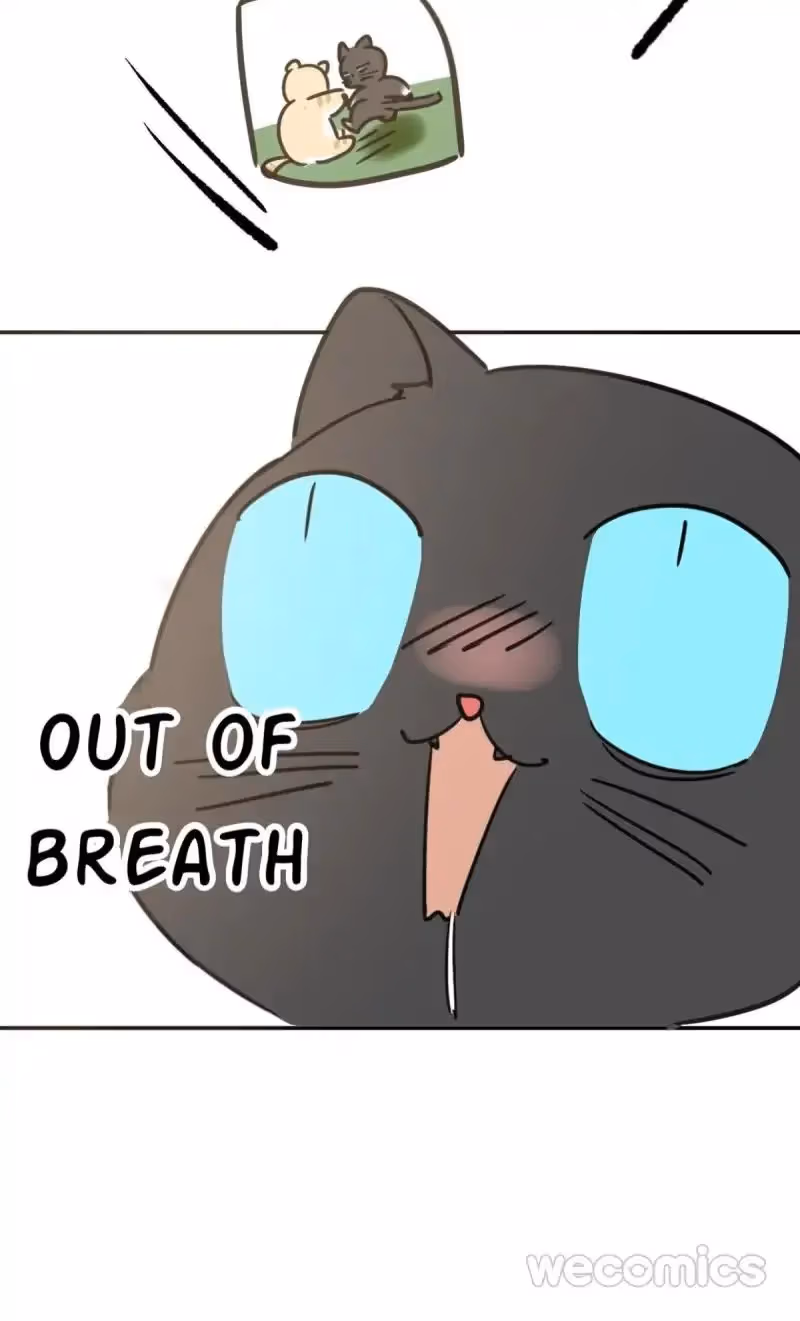 Read Dragon In Distress chapter 25 image 47 on Lezhin