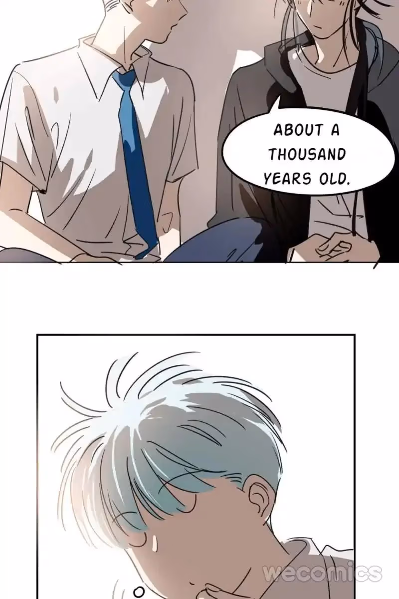 Read Dragon In Distress chapter 30 image 6 on Lezhin