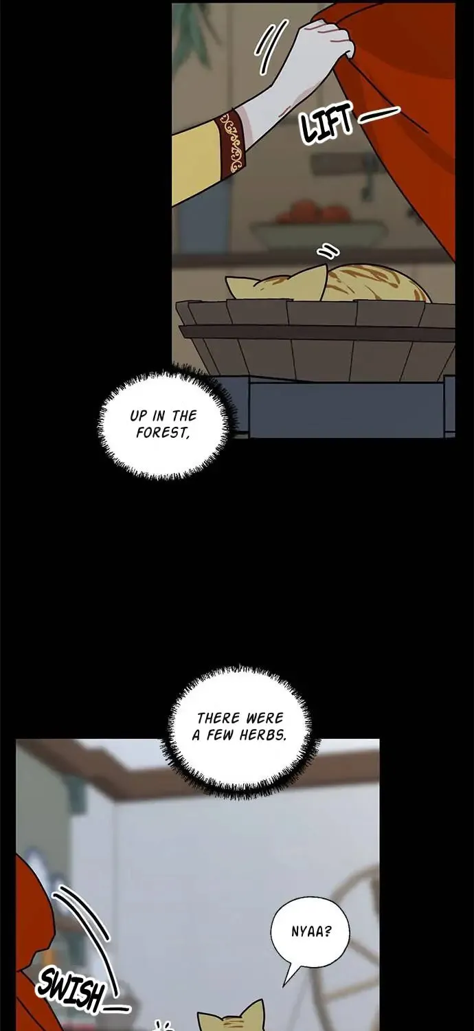 Read Dragon King