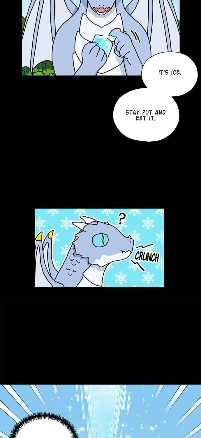 Read Dragon King