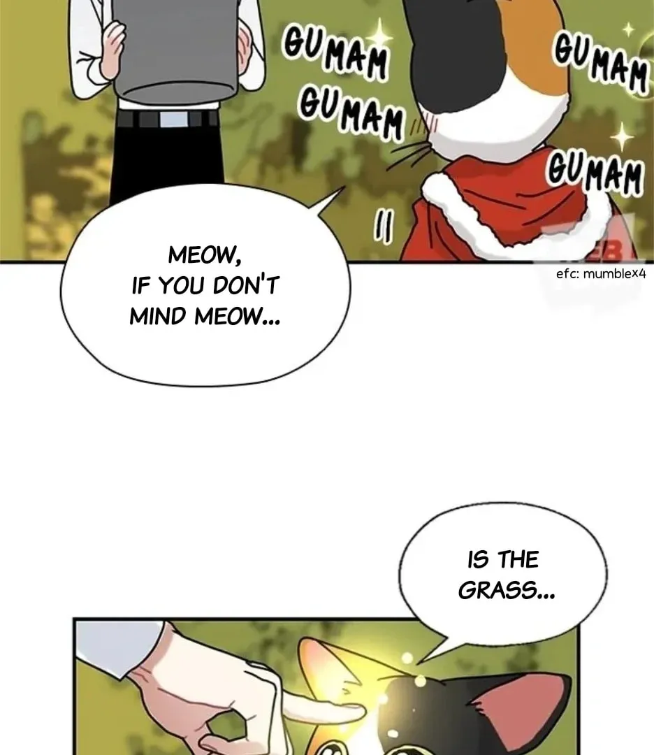 Read Dragon King