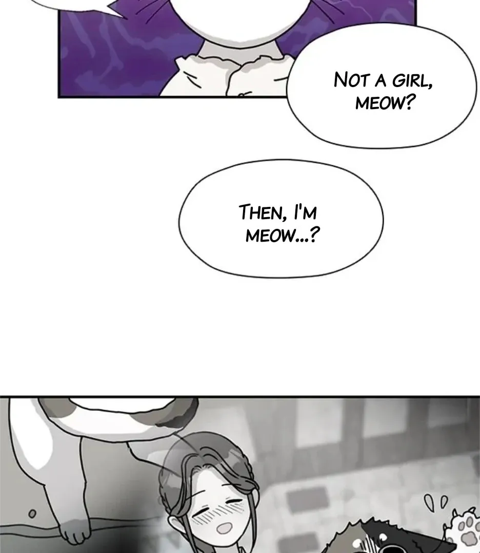 Read Dragon King