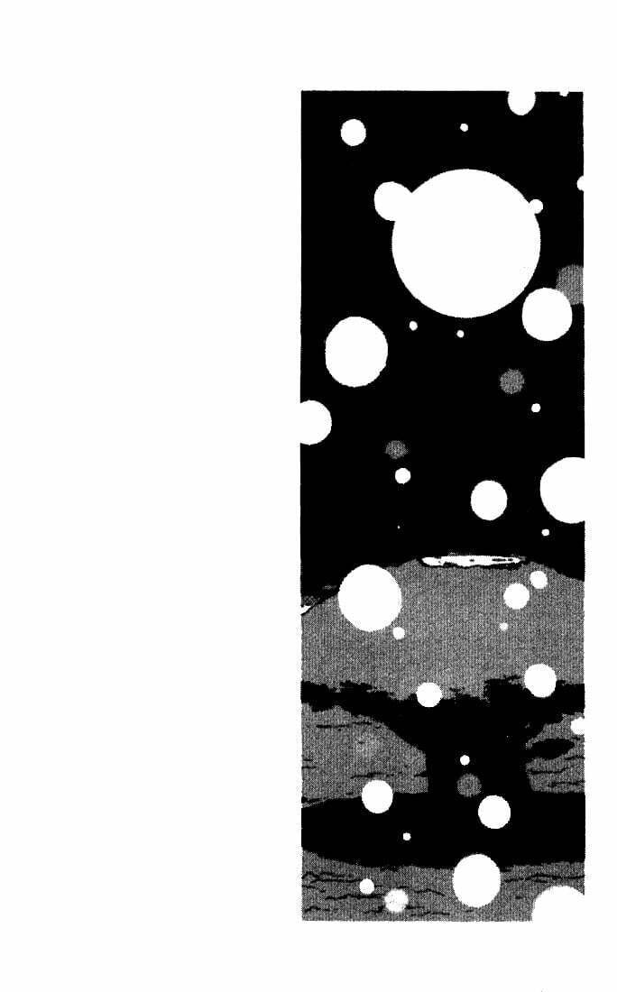 Read Dragon Quest: Monsters+ chapter 1 image 10 on Lezhin