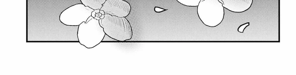 Read Dragon Tofu chapter 37 image 17 on Lezhin