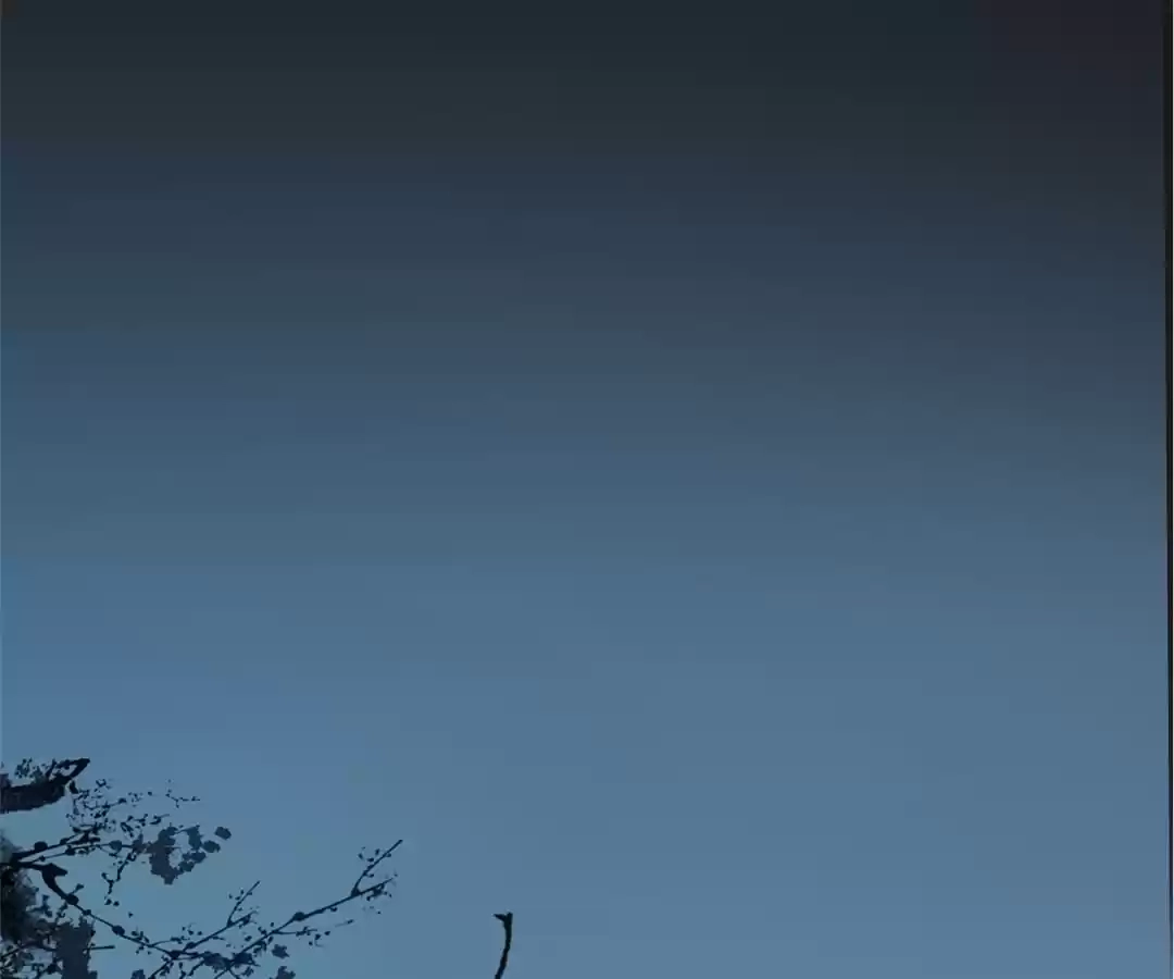 Read Dragon