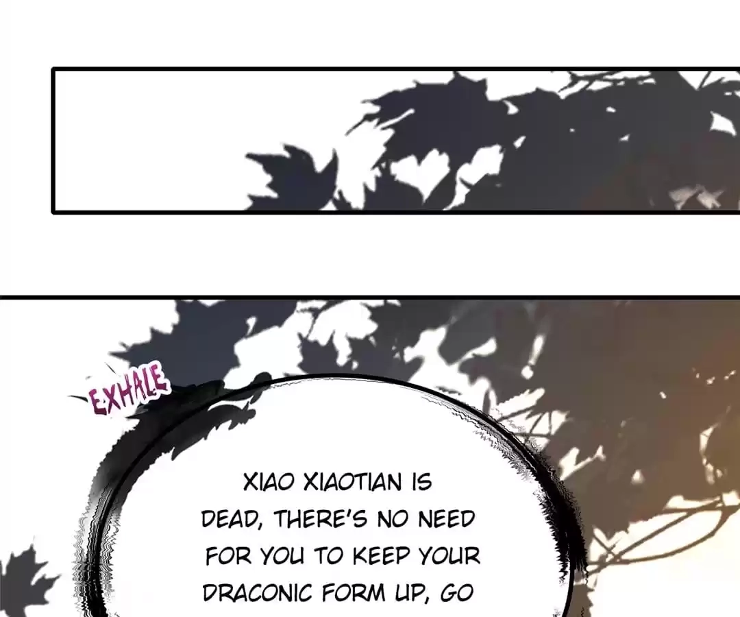 Read Dragon