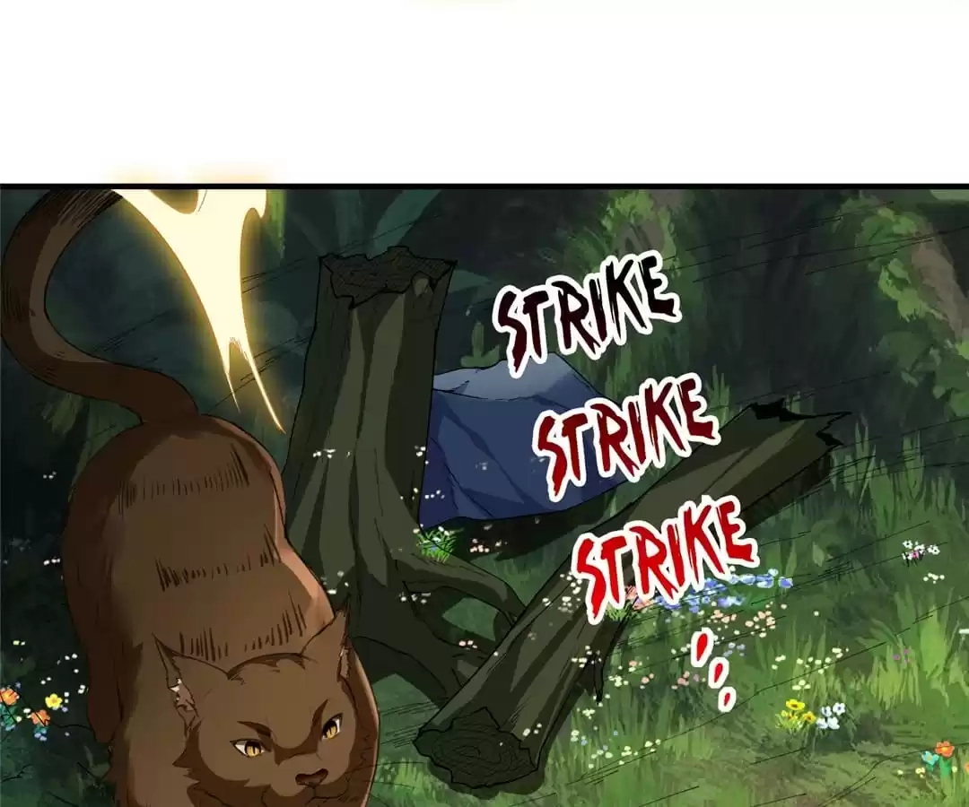 Read Dragon