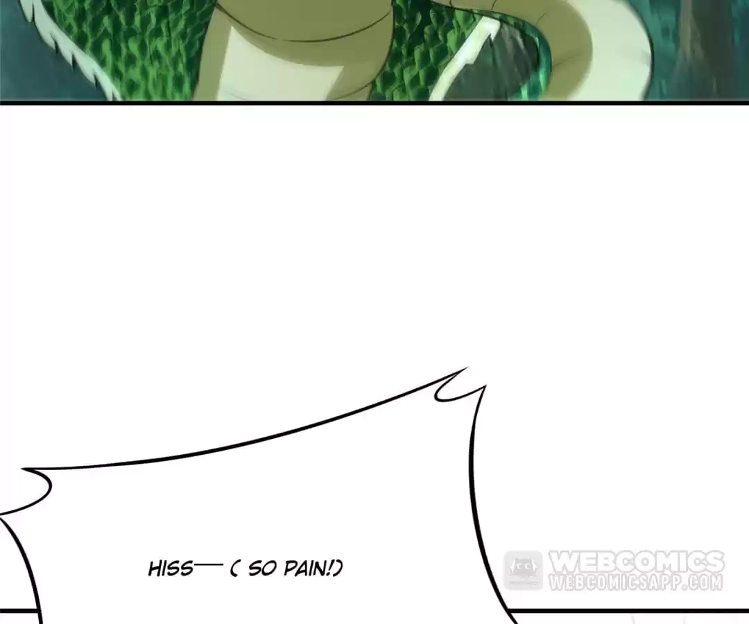 Read Dragon