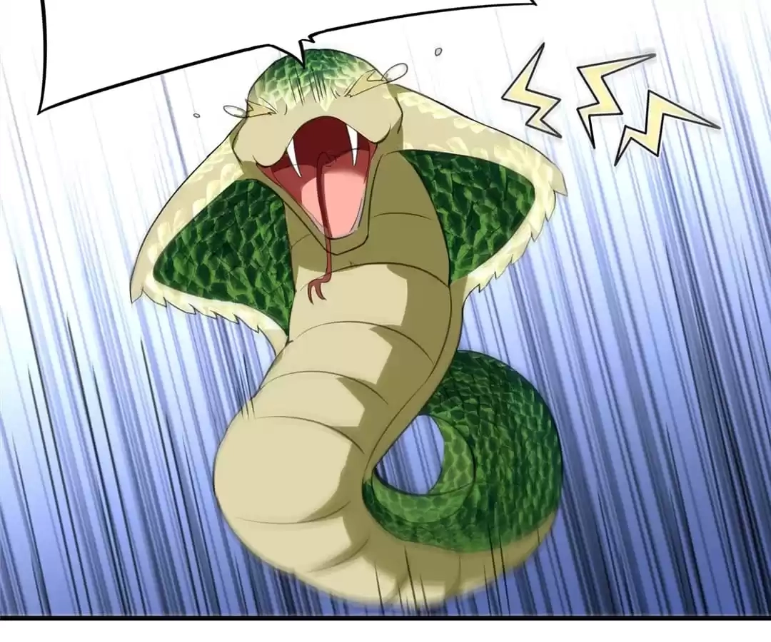 Read Dragon