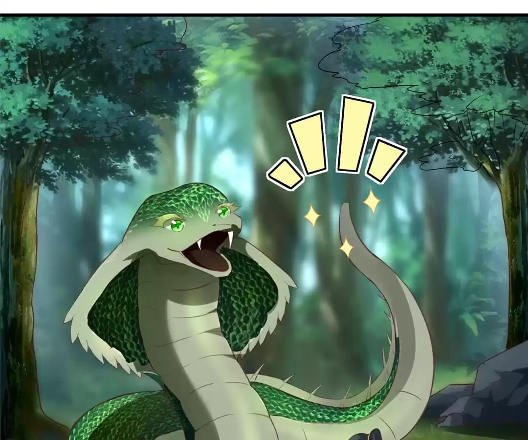 Read Dragon