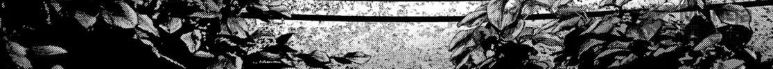 Read #DRCL midnight children chapter 14 image 49 on Lezhin