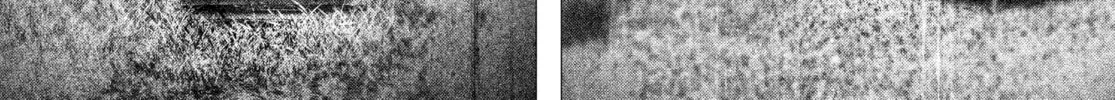 Read #DRCL midnight children chapter 20 image 33 on Lezhin