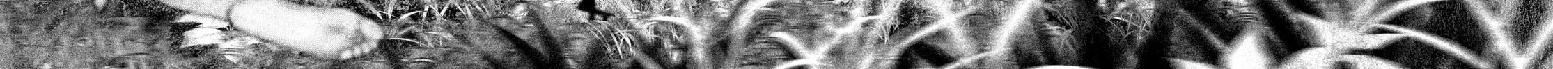 Read #DRCL midnight children chapter 22 image 21 on Lezhin