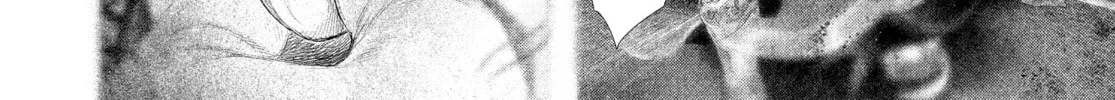 Read #DRCL midnight children chapter 29 image 3 on Lezhin