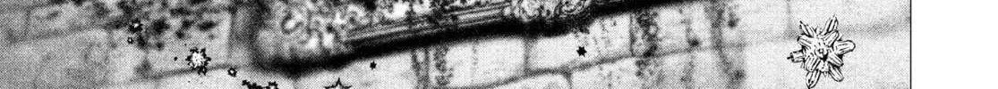 Read #DRCL midnight children chapter 36 image 2 on Lezhin