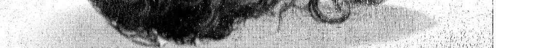 Read #DRCL midnight children chapter 37 image 8 on Lezhin