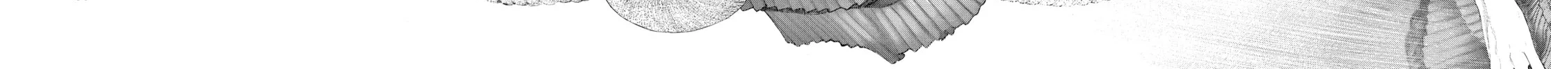 Read #DRCL midnight children chapter 7.5 image 51 on Lezhin