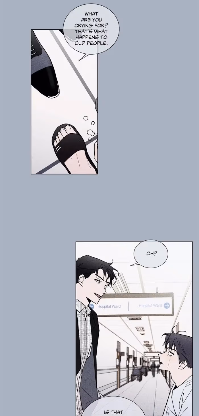 Read Dream Away chapter 39 image 25 on Lezhin
