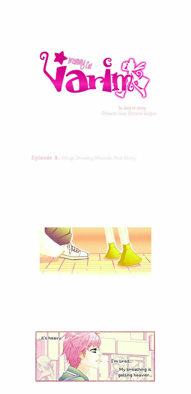 Dreaming Cat Varim Chapter 3 page 13 - 