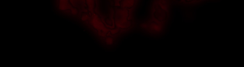 Read Dreaming Freedom chapter 12 image 10 on Lezhin