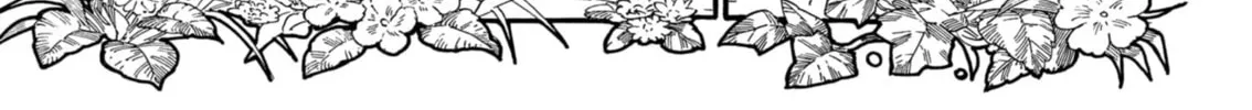 Read Dressmaker chapter 0 image 1 on Lezhin