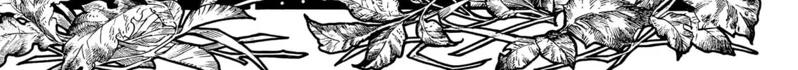 Read Dressmaker chapter 0 image 13 on Lezhin