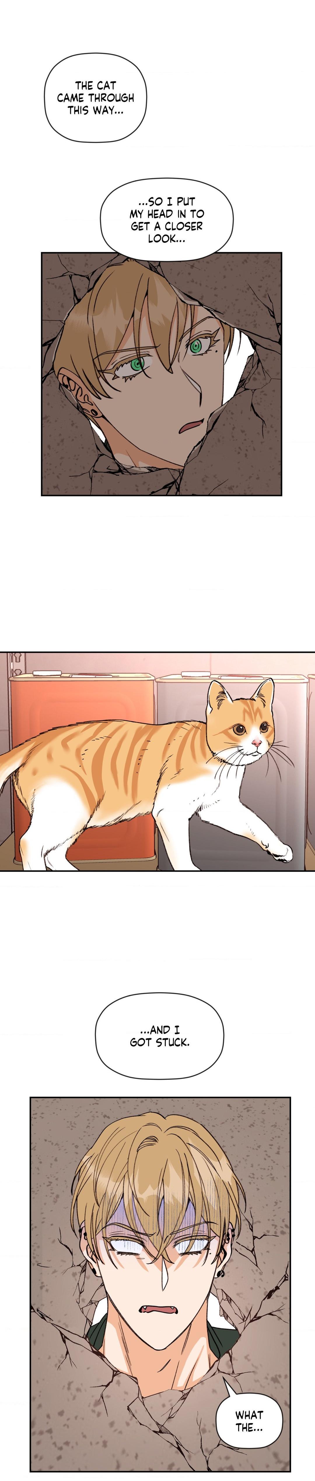 Read Driminis chapter 22 image 7 on Lezhin