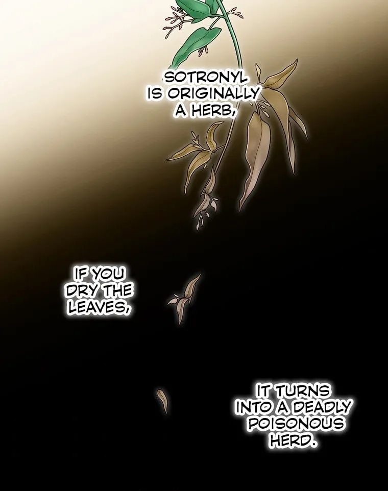 Duchess in the Glass House Chapter 66 page 29 - 
