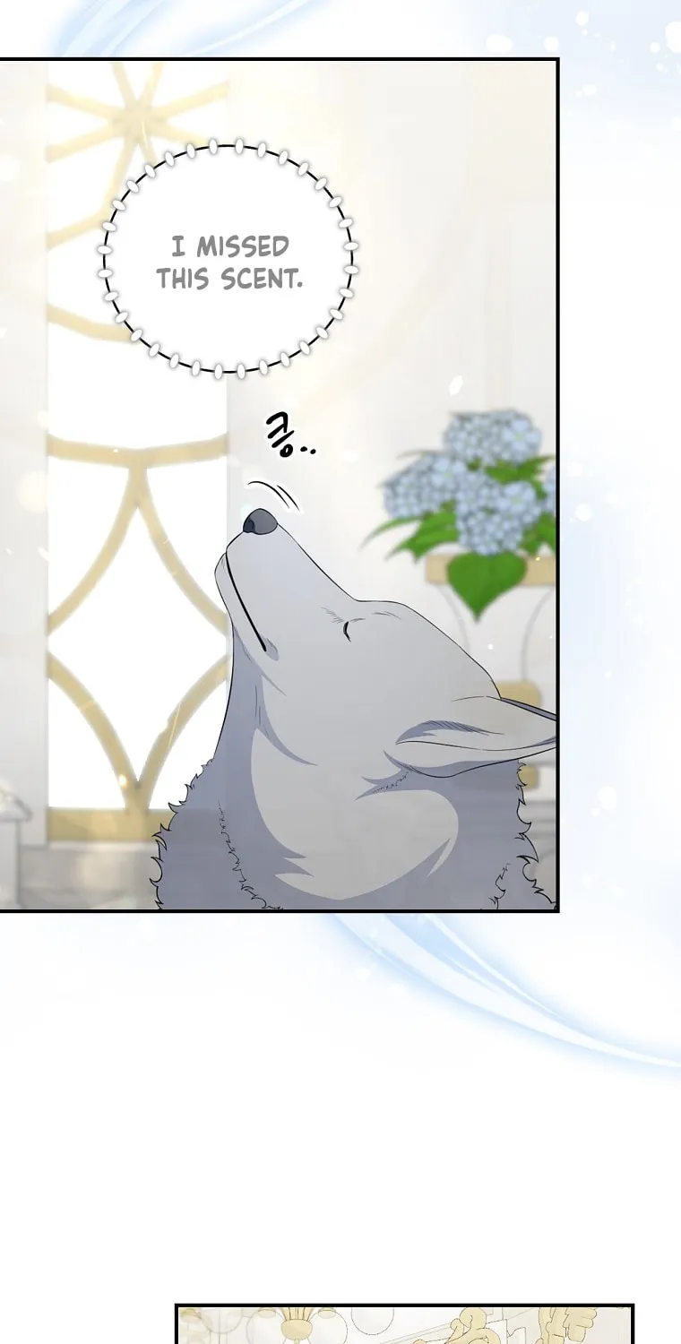 Duchess in the Glass House Chapter 73 page 46 - 