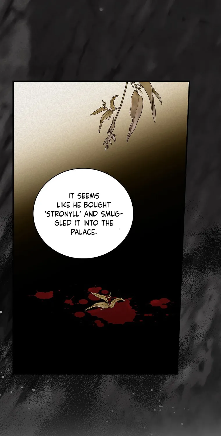 Duchess in the Glass House Chapter 75 page 13 - 