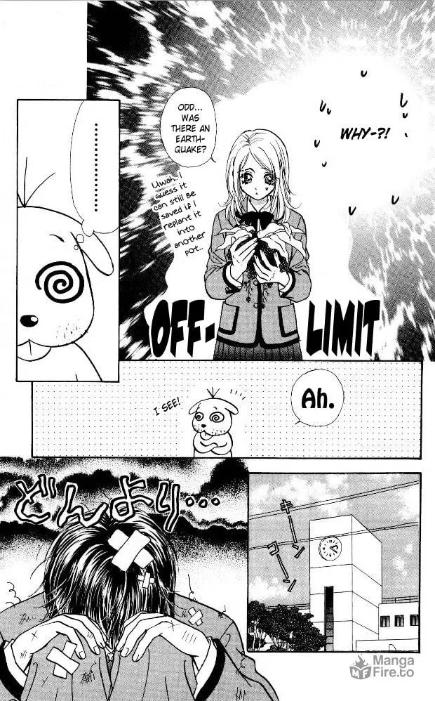 Read Duck Prince chapter 6 image 8 on Lezhin