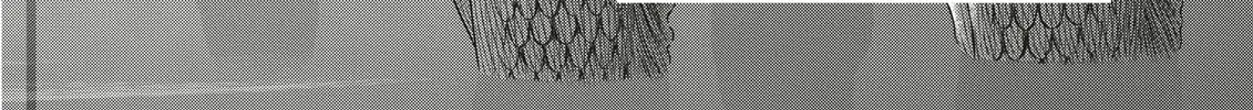 Read Duranki chapter 1 image 11 on Lezhin