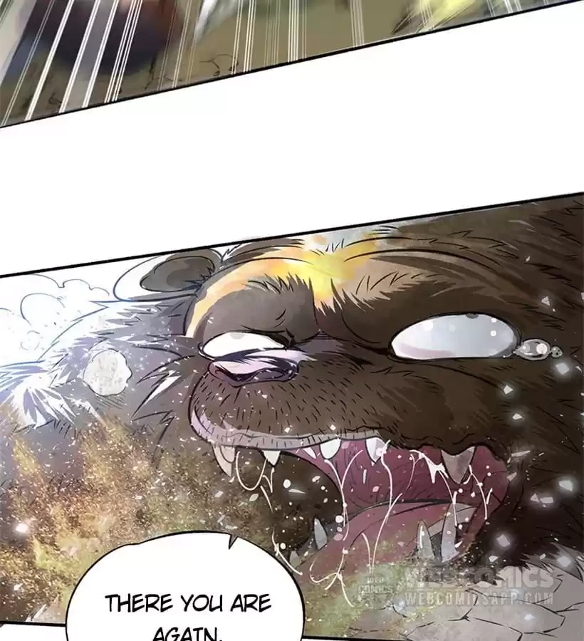 Dushi Dianfeng Gaoshou Chapter 1 page 19 - 