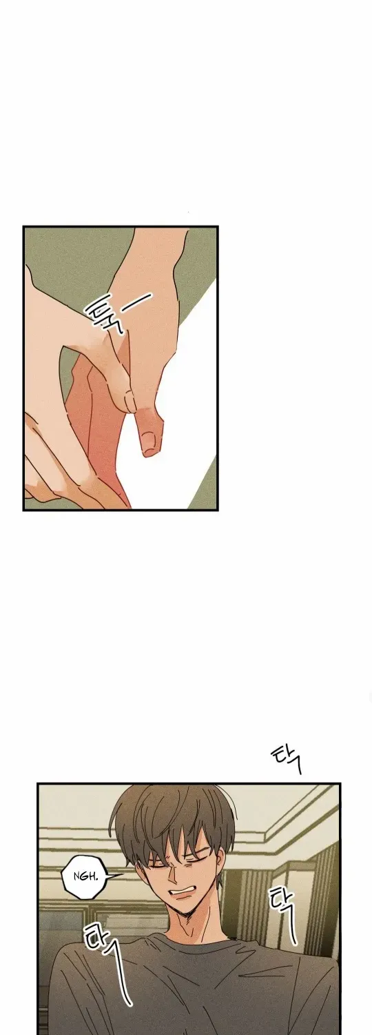 Read Easy Senior chapter 14 image 24 on Lezhin