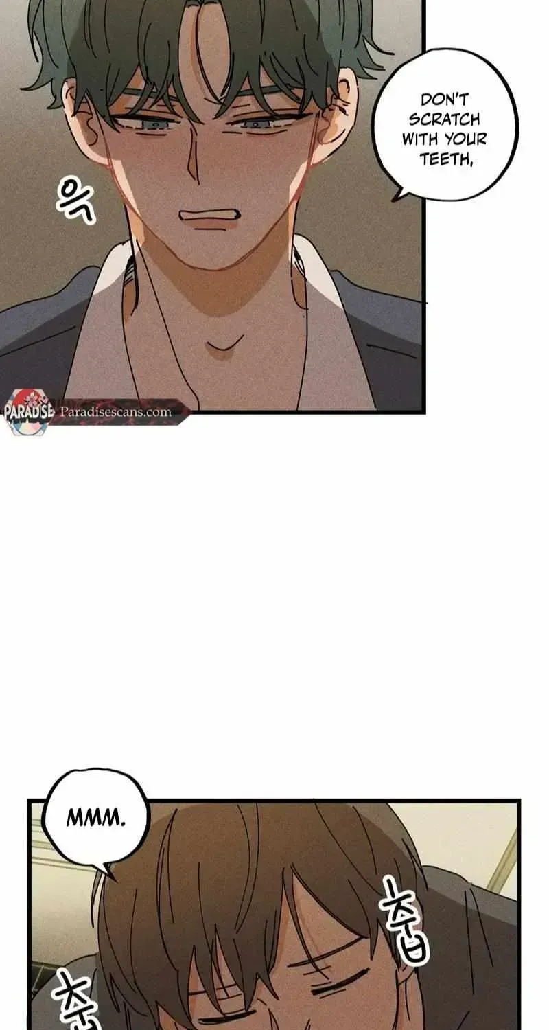 Read Easy Senior chapter 23.3 image 45 on Lezhin