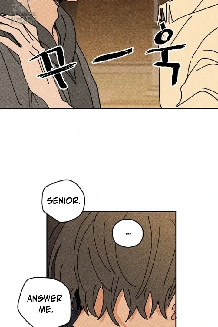 Read Easy Senior chapter 3 image 14 on Lezhin