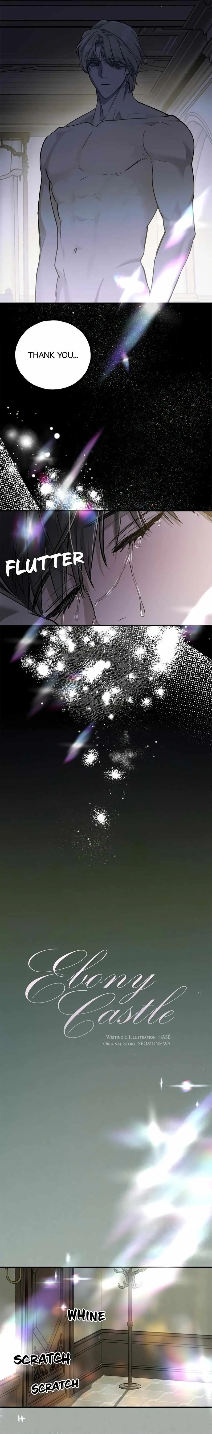 Read Ebony Castle chapter 11 image 13 on Lezhin