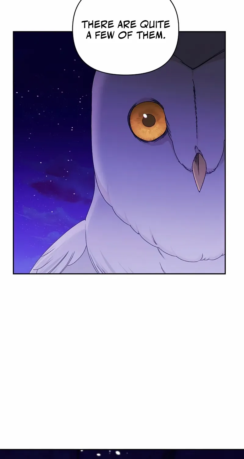 Read Ebony chapter 142 image 52 on Lezhin