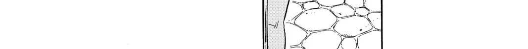 Read EDENS ZERO chapter 1 image 75 on Lezhin