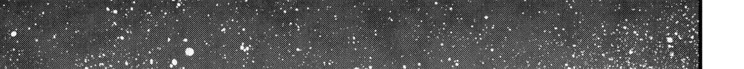 Read EDENS ZERO chapter 220 image 37 on Lezhin