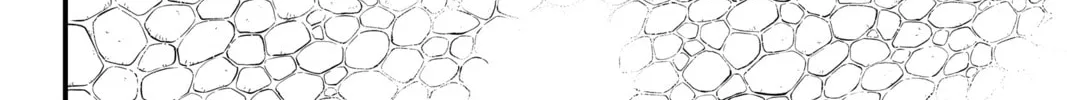 Read EDENS ZERO chapter 222 image 21 on Lezhin