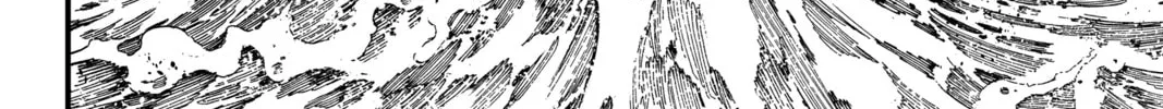 Read EDENS ZERO chapter 242 image 15 on Lezhin